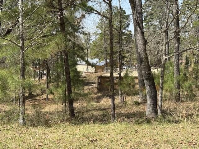 LOTS319 Oakwood Ln, Trinity, TX 75862