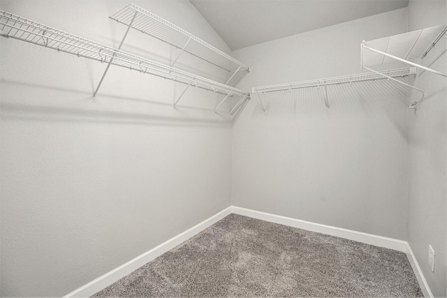 spacious closet with carpet