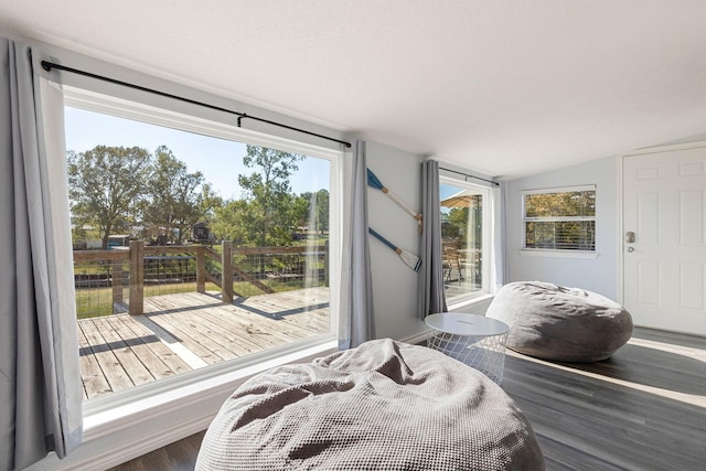 bedroom with lofted ceiling, multiple windows, and wood finished floors