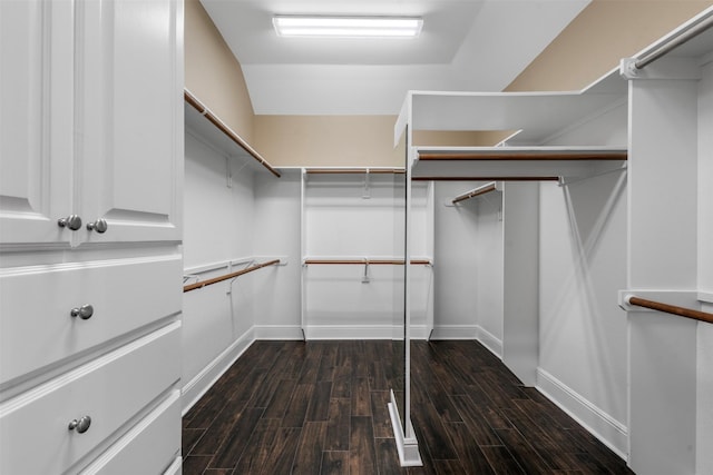 walk in closet featuring dark wood-type flooring