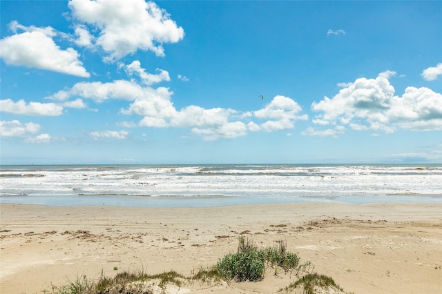 water view featuring a beach view