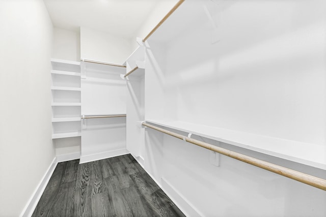 walk in closet with dark wood-style floors