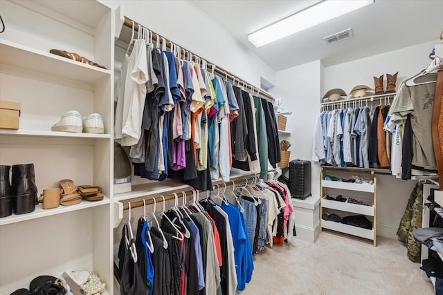 727 Dorothy St, Houston, TX 77007 - walk in closet featuring carpet floors