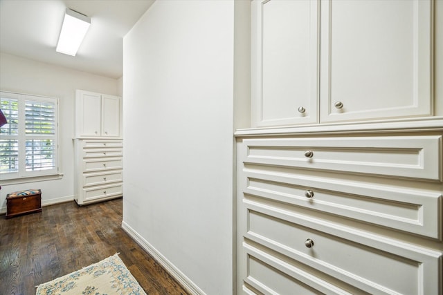 walk in closet featuring dark wood-type flooring