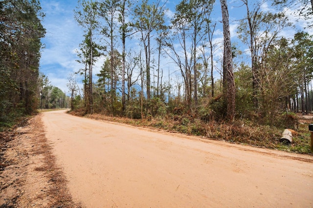 12ACRES County Line Rd, Shepherd, TX 77371