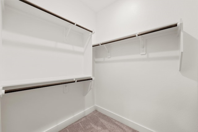 walk in closet with light colored carpet