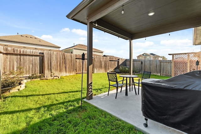 view of yard with a patio area and a fenced backyard