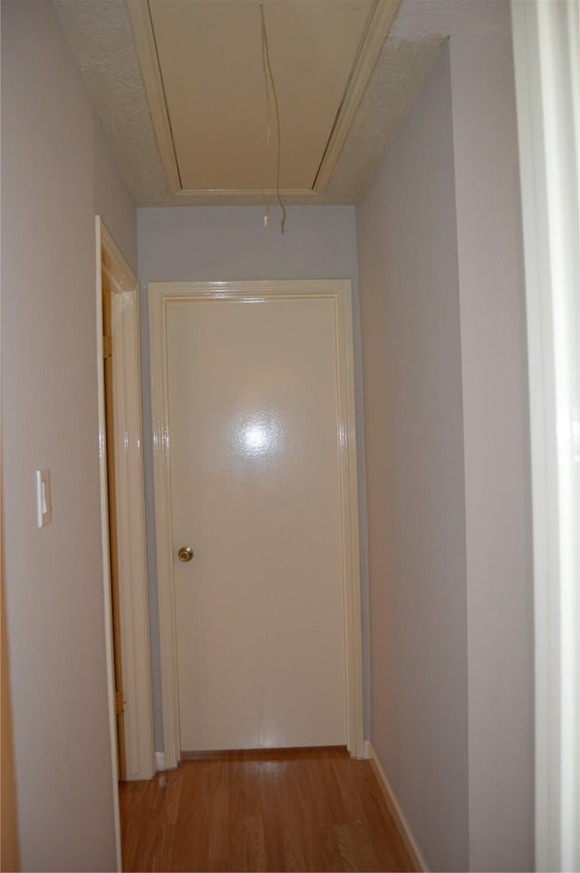 hallway featuring light wood-type flooring and attic access