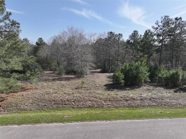 Listing photo 2 for 0 Steeplechase Pkwy, Waller TX 7748