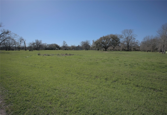 Listing photo 2 for 16927 Hamill Dr, Rosharon TX 77583