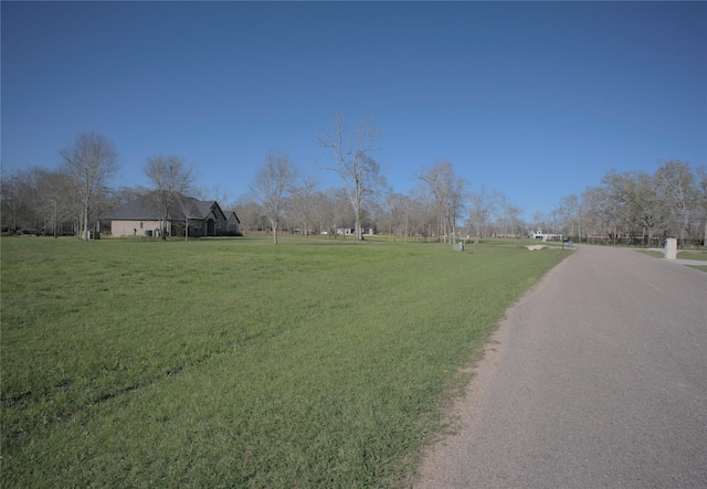 Listing photo 3 for 16927 Hamill Dr, Rosharon TX 77583