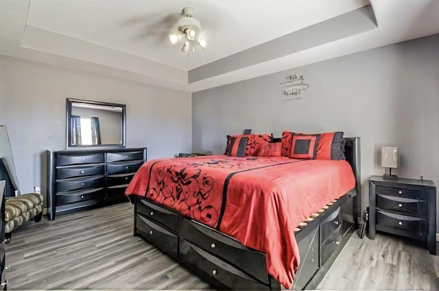 bedroom featuring a raised ceiling and wood finished floors