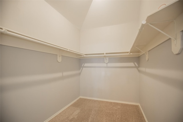 walk in closet featuring lofted ceiling and carpet