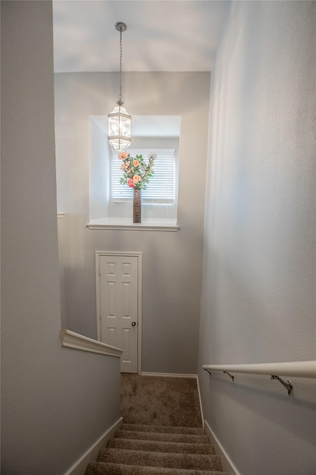 stairway featuring baseboards and carpet floors