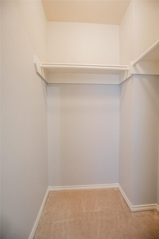 walk in closet featuring light colored carpet