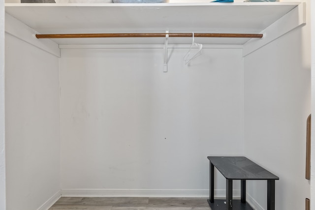 walk in closet featuring wood finished floors