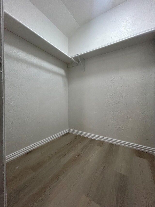 spacious closet featuring wood finished floors