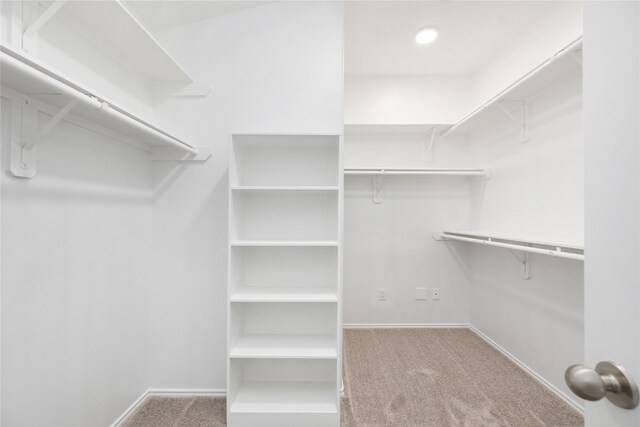 spacious closet with carpet flooring