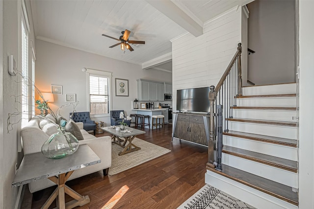 living area featuring stairway, a ceiling fan, dark wood finished floors, ornamental molding, and beamed ceiling