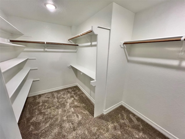 walk in closet featuring carpet