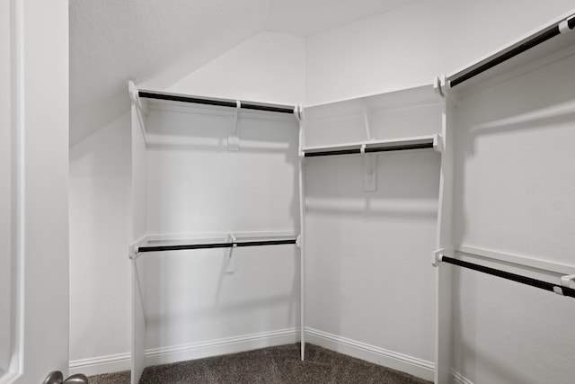 walk in closet with dark colored carpet