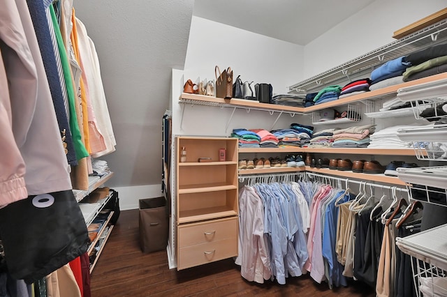 walk in closet featuring wood finished floors