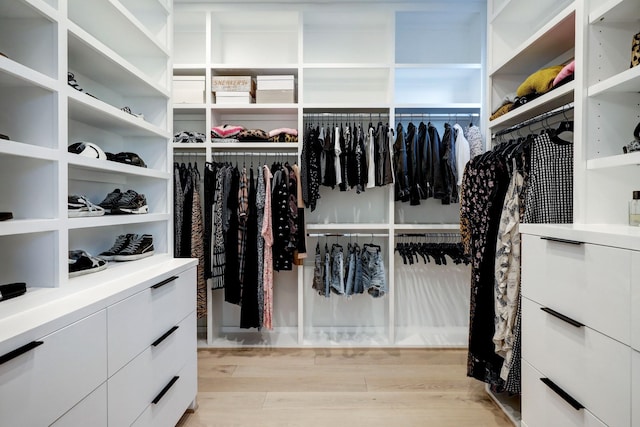 spacious closet featuring light wood-style flooring