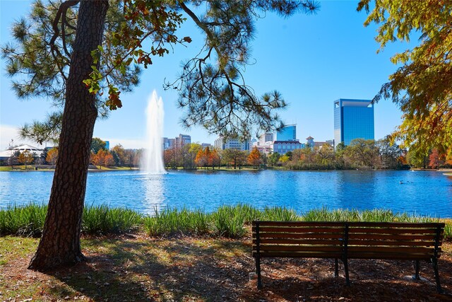8305 Springwood Creek Ln, Houston, TX 77055 - water view