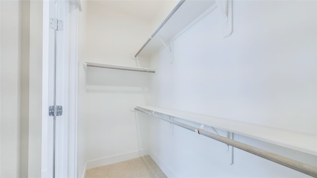 spacious closet with light colored carpet