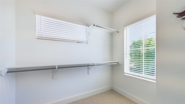 walk in closet featuring light colored carpet