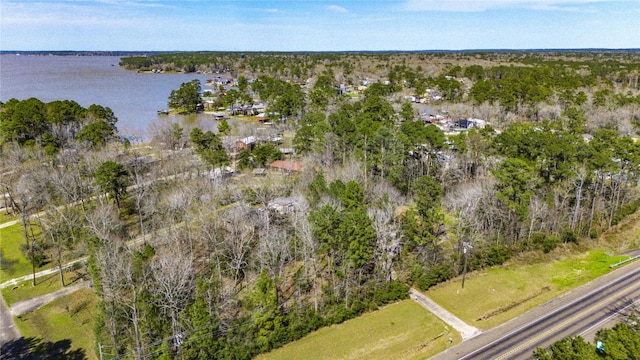 bird's eye view with a forest view and a water view