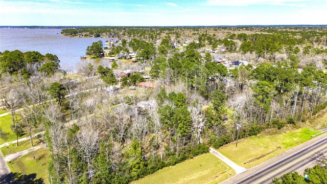 bird's eye view with a wooded view and a water view