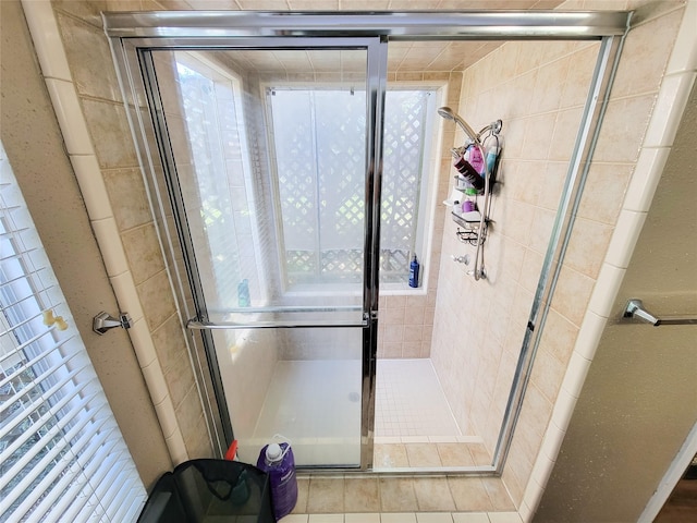 bathroom featuring a healthy amount of sunlight and a stall shower