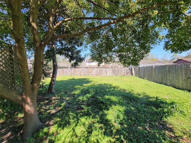 view of yard with a fenced backyard