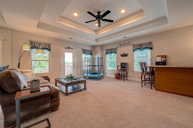 living area featuring carpet, a raised ceiling, crown molding, and baseboards