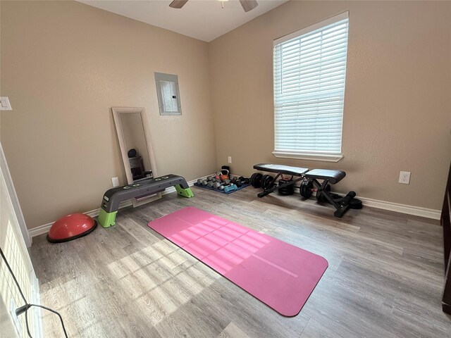 exercise room featuring electric panel, wood finished floors, baseboards, and ceiling fan