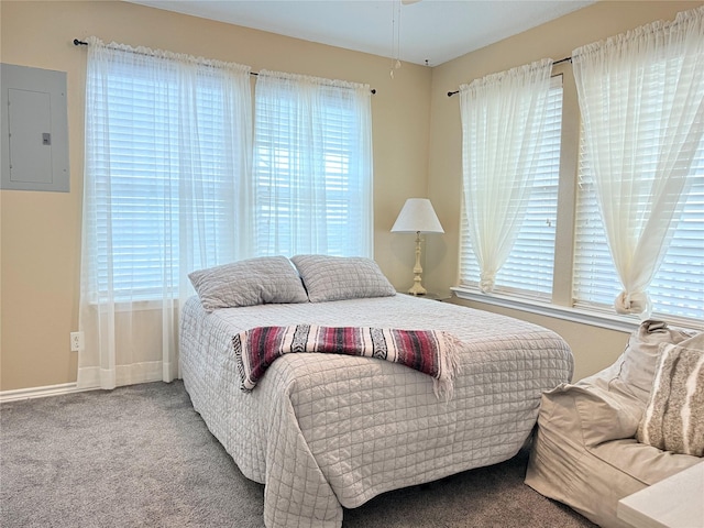 bedroom with electric panel and carpet flooring