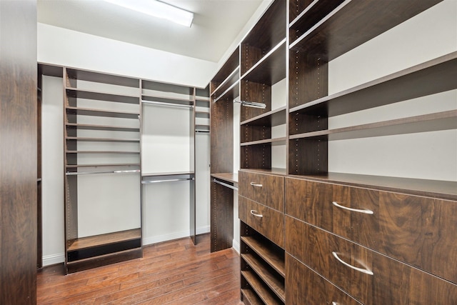 walk in closet featuring wood-type flooring