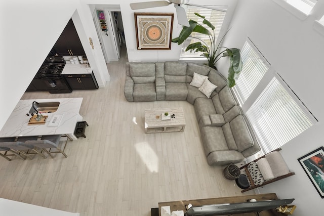 living room featuring wood finished floors and a ceiling fan