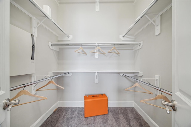 spacious closet with carpet