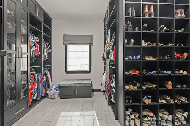 view of spacious closet