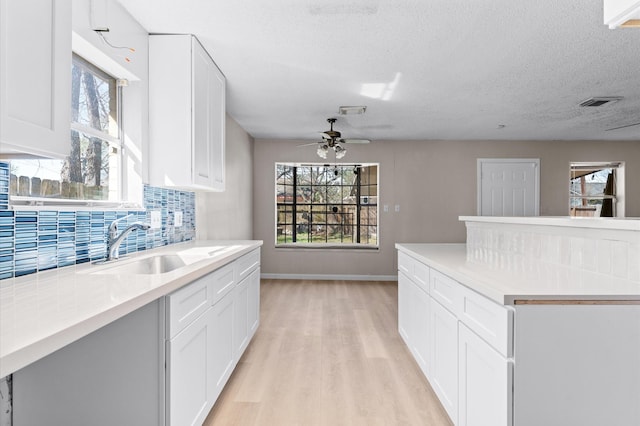 kitchen with plenty of natural light, light wood-type flooring, backsplash, and a sink