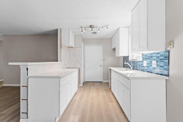 kitchen with a sink, tasteful backsplash, light countertops, and light wood finished floors