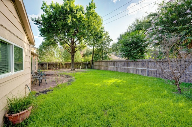 view of yard featuring a fenced backyard and a patio area