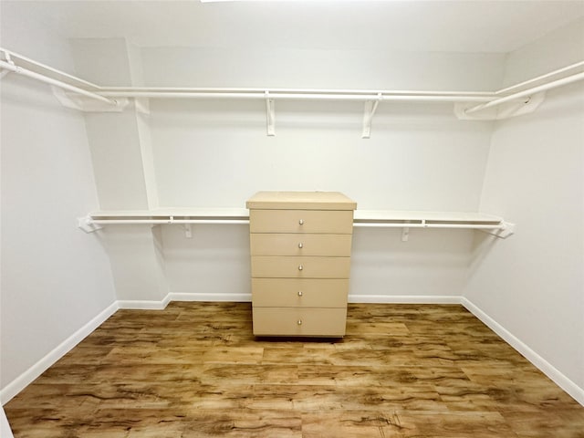 walk in closet featuring wood finished floors