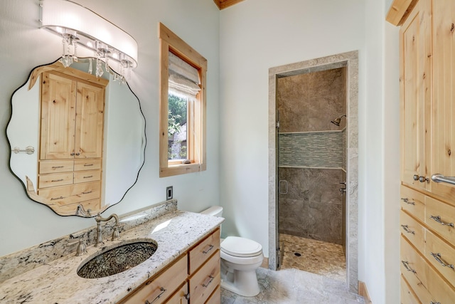 bathroom with vanity, toilet, and a stall shower