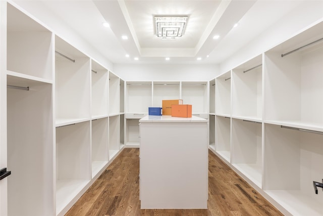 spacious closet featuring a raised ceiling and wood finished floors