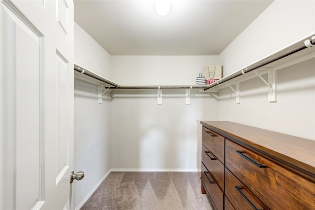 walk in closet featuring light colored carpet