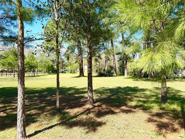 Listing photo 3 for TBD S Roselake Dr, Tomball TX 77377