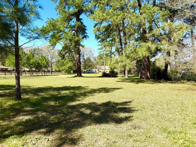 TBD S Roselake Dr, Tomball, TX 77377 - photo 5